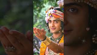 radhe radhe 🥰... #bollywood #love #hindisong #sweet #song #k3g #srk #srkstatus krishna🥺