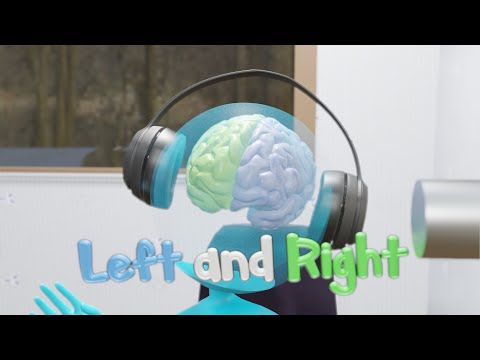 The Roles of Your Two Brains and the Importance of Communication