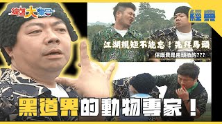 【綜藝大集合 經典】黑道界的動物專家🐑！松樹原來這麼好吃🌿🌲？！ 桃園 2025.7.16