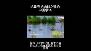 这是守护地球之肾的中国🇨🇳承诺