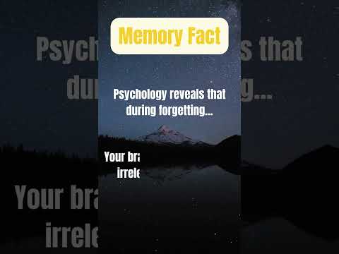 Memory Lapses: Exploring the Psychology of Forgetting