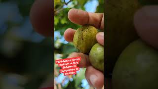 May vit. C laban sa ubo at sipon