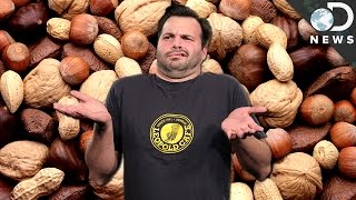 WTF Is A Nut?!