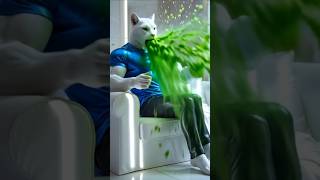 The Storm of the Silent Cats #shorts #viral #trending #short #ai #aistory #story #video #aistories