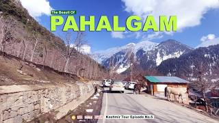 Pahalgam Kashmir | Srinagar To Pahalgam- Pahalgam Tour | Pahalgam Tourist Places