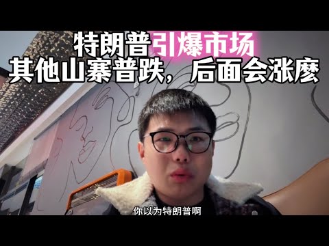 特朗普引爆市场，但其他山寨普跌！！？后面会涨麽