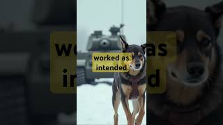 More shocking WWII facts — and yes, these are all real. Part 2. #shorts #historyshorts #ww2facts