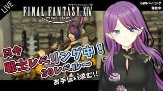 【 FF14 / GaiaDC 】戦士 レベリング 強化中！お手伝いお願いします (登録者数2000人も目指し中) 【 眠杜 / Vtuber 】