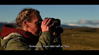 Tracking Pumas in Torres del Paine national park with EcoCamp Patagonia