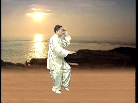 陈小旺讲解 太极拳 三十八式 上篇