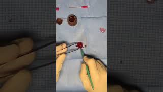 What should I dissect next? #surgery #surgeon #doctor #medicine #premed #medtok #tiktokdoc