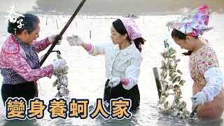 養蚵家計改善 孩子相繼出生｜春子｜精華｜EP 1–2