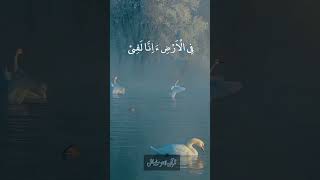 #islamicstatus #promoteyourchannel #quran #quranlines #nature