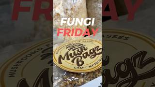 What is Mushroom Mycelium? 🍄