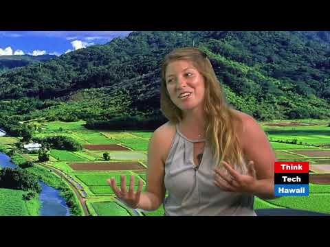 Container Farming Maximizing Space with Hawaii Food And Farmer
