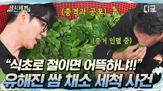 [#삼시세끼Light] 쌈 채소로 빨래ㅋㅋ하다가 차승원한테 또 혼난 유해진😅 쌈 채소 초절임을 만들어버리다…⭐