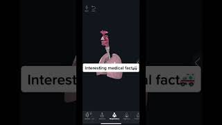 #medicine #medicaltiktok #medicaltok #medtok #healthtok #doctor #nurse #anatomy #respiratorytherapy