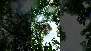 Relaxing 360° view in village road #360video #360degreeview #360 #360view #360degree #360capture