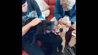 Ross lynch, Rocky lynch, Velvet, And Ryland! 😂😂😍😍💕
