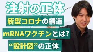 【生物雑学講座#1】mRNAワクチンとは？*