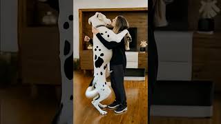 #beautifullgirlivedog #ilovedog #dog #love #cute #cutedog #animals #dogslife #dogslife #puppy #girle