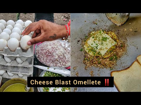 Double Cheese Masala Half Fry (Sunny Side Up) || Delhi Street Food || Ramesh Nagar