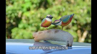 ETF的定義與種類,如何交易與風險?