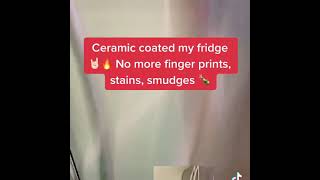 Ceramic Coating my refrigerator