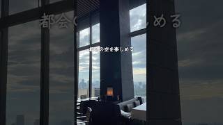 【東京のホテルレストラン】都会の絶景といえばアマン東京 #アマン東京 #アマン #aman #amantokyo #arva #ティラミス #shorts