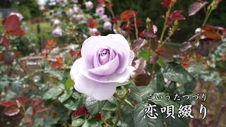 恋唄綴り　堀内孝雄