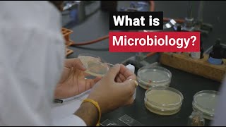 What is Microbiology | University of Guelph