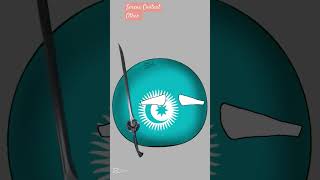 Freedom of East Turkestan from China #free #turkestan #east #capcut #video #pleasesubscribe