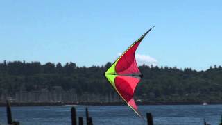 Dual Line Framed Kites - Nexus