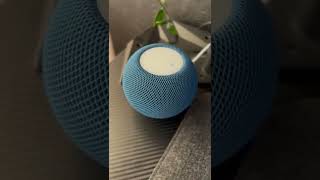 Introducing my HomePod Mini #appletech #apple #tech #applemac #applewatch #smartgadgets #gadgets