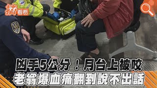 凶手5公分!月台上被咬 老翁爆血痛翻到說不出話｜TVBS新聞｜擠看看 #Shorts