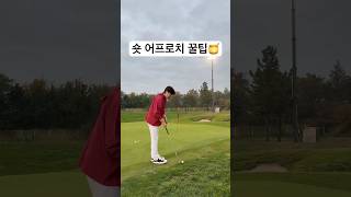 짧은 어프로치 꿀팁🍯 #golf #골프 #골프레슨 #어프로치 #숏게임 #shorts #필드레슨