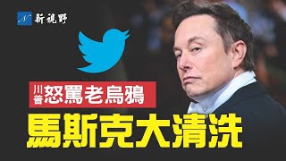 馬斯克完成收購，推特高層被一鍋端，但似乎漏了一個……。美國中期選舉衝刺階段，麥康奈爾竟釜底抽薪，川總直罵老烏鴉。| 新視野 第804期 20221028