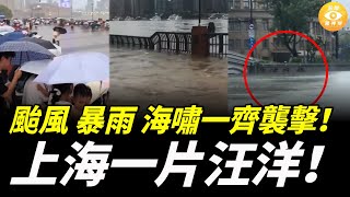 颱風、暴雨、海嘯一起襲擊上海， 數警齊發！黄浦江水倒灌，整個城市一片汪洋……