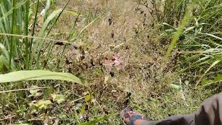 How To Collect Coconut Using Hand ? | #howtodo #howto #howtovideo @HowToDo-g3l