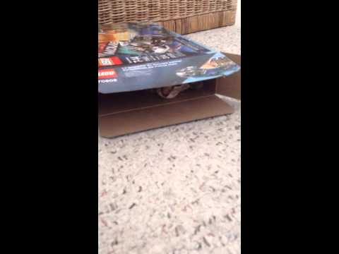 More of Dylan's funny kittens