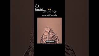 Khokhar G 😎
