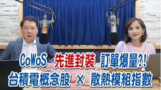 '25.06.12【財經一路發】大來國際證券投顧蘇麗芬分析師談「CoWoS先進封裝訂單爆量？！ 半導體設備 x 散熱模組指數」