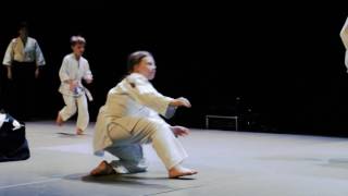 Juniorit, Suomen Aikidoliitto, Matkamessut 2017 (Helsinki, Finland)