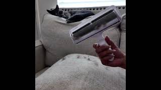 “YOUR BEST ALLY” MBC ROLLER #ecoproducts #cat #bestpetsupplies #petfriendlyhome #puppy