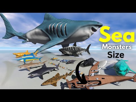Deadliest Sea Monsters Size Comparison 3D🐙 🌊🐬🐳