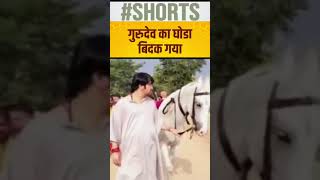 guru dev ka ghoda bidak gaya #shortsvideo #youtubevideos
