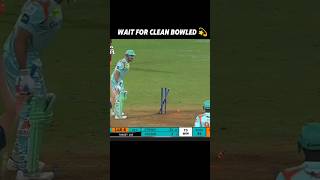 Josh Hazlewood 💫