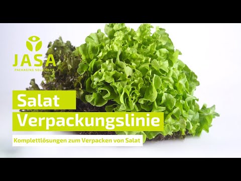Salat Verpackungslösungen