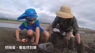 一日小旅行 | 桃園無名海灘 | 聽~海浪的聲音 |  2021年7月11日