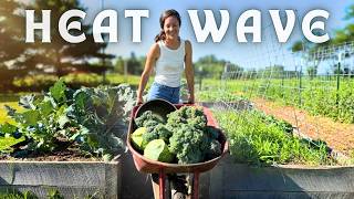 GIANT Harvest + PRESERVING (easy foods to store for winter)